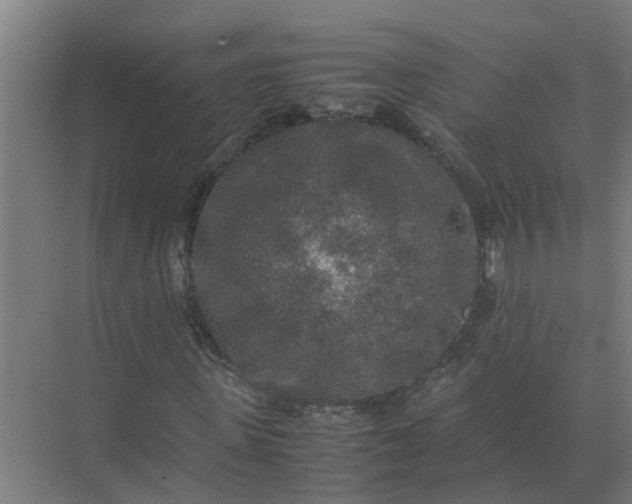 X0000074970915200609152118