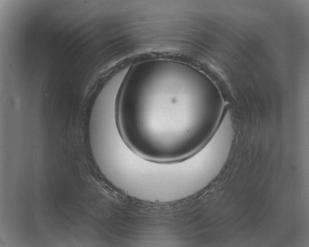 X0000074970920200609152118