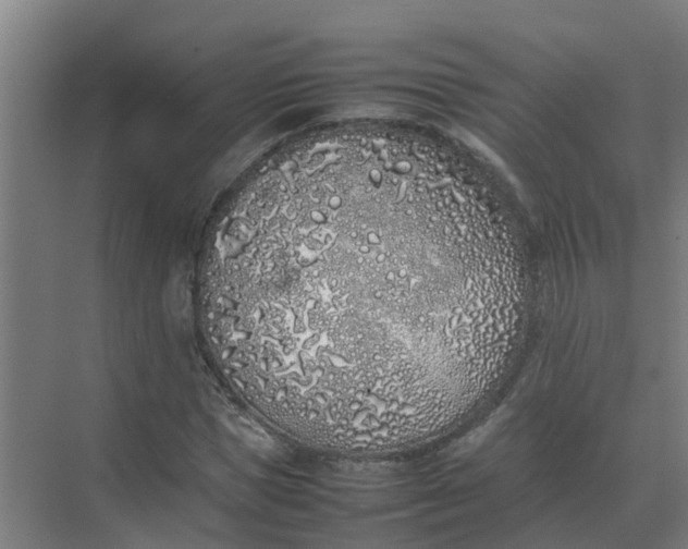 X0000074970921200609152118