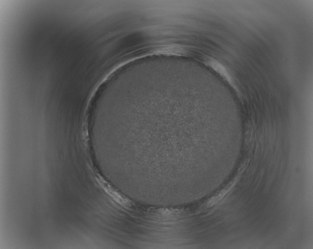 X0000074970923200609152118