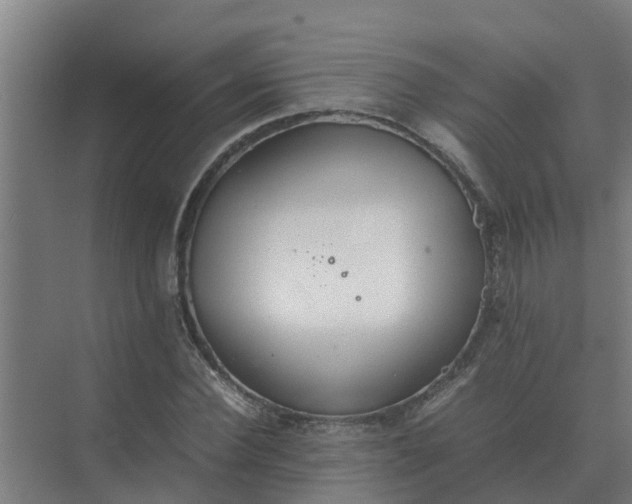 X0000074970924200609152118