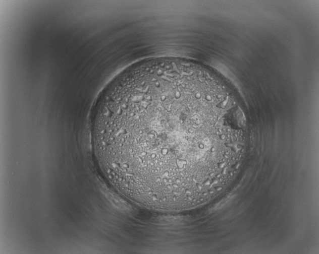 X0000074970925200609152118