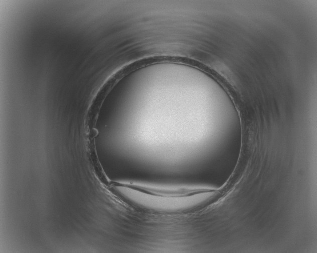 X0000074970926200609152118