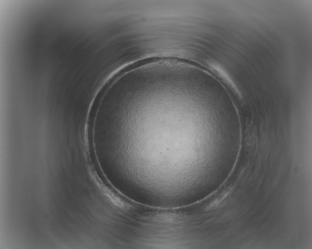 X0000074970932200609152119