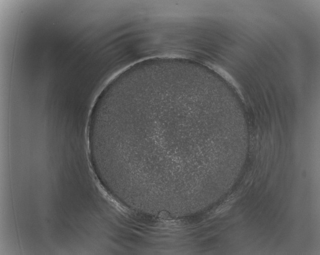 X0000074970935200609152119