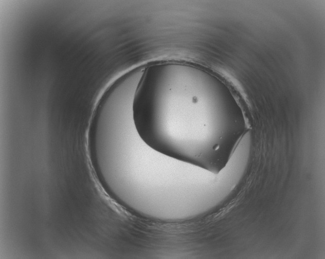 X0000074970936200609152119