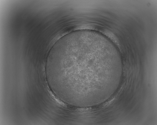 X0000074970937200609152119