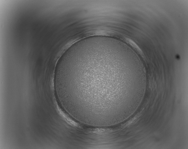 X0000074970938200609152119