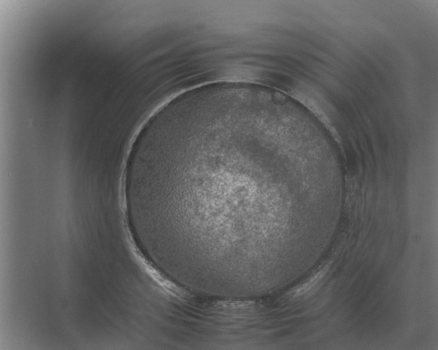 X0000074970939200609152119