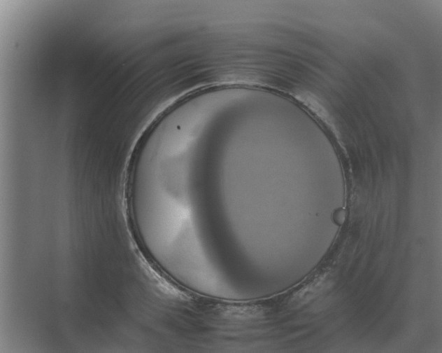 X0000074970941200609152119