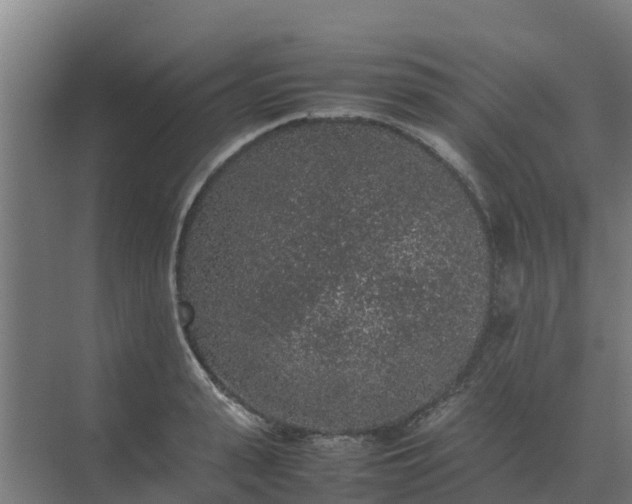 X0000074970943200609152119