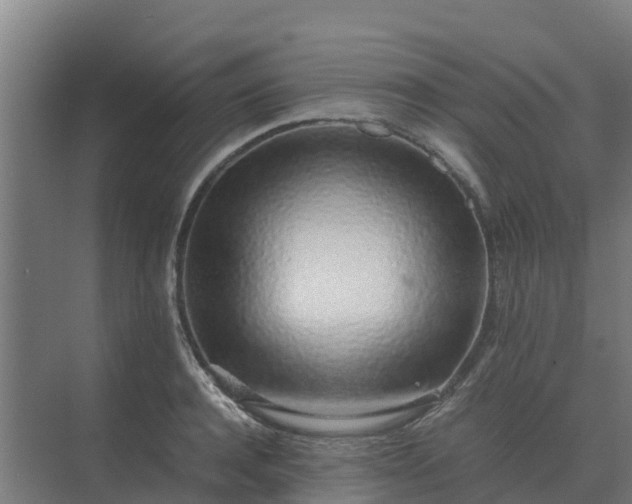 X0000074970944200609152119