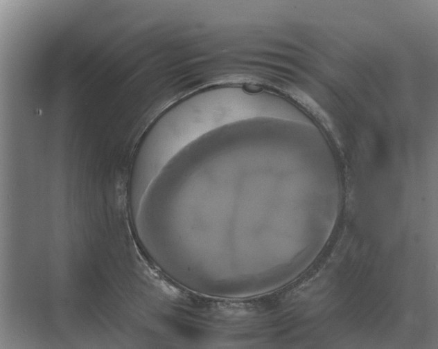 X0000074970945200609152119