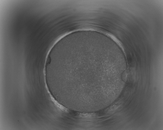 X0000074970951200609152119