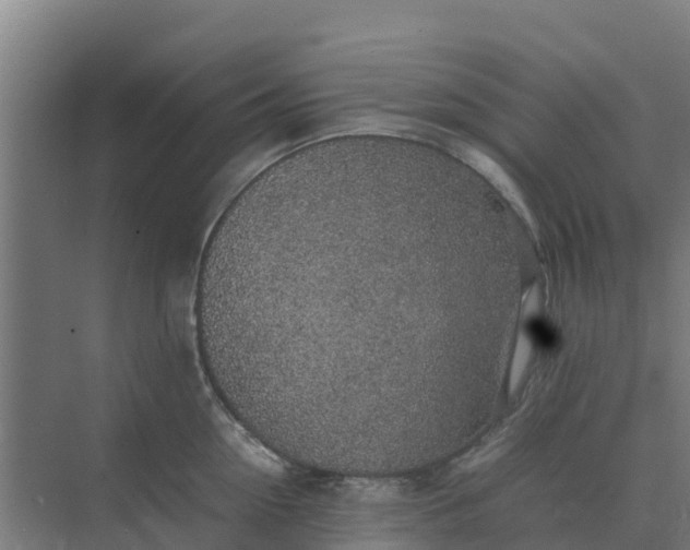 X0000074970954200609152119