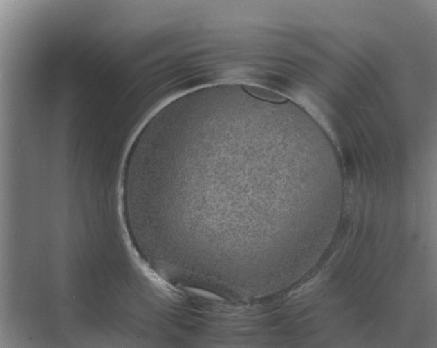 X0000074970955200609152119