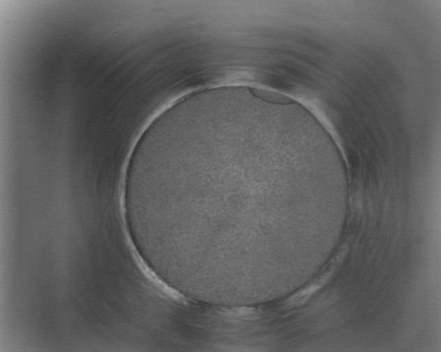 X0000074970957200609152119