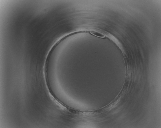 X0000074970958200609152119