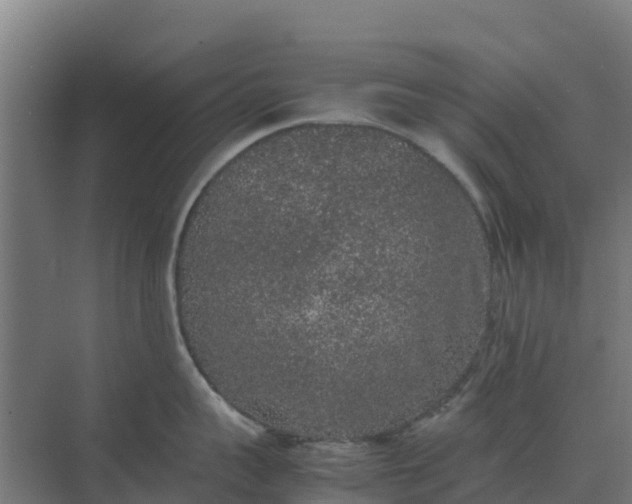 X0000074970959200609152119