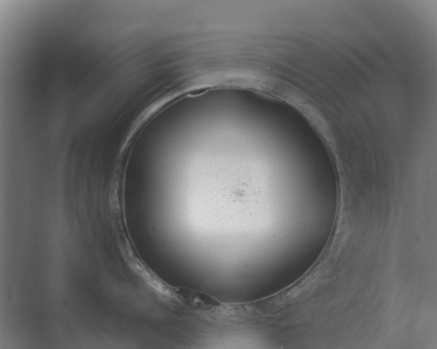 X0000074970960200609152119