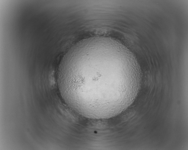 X0000074970962200609152118