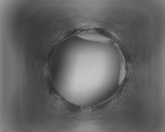 X0000074970965200609152118