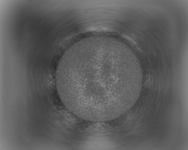 X0000074970966200609152118