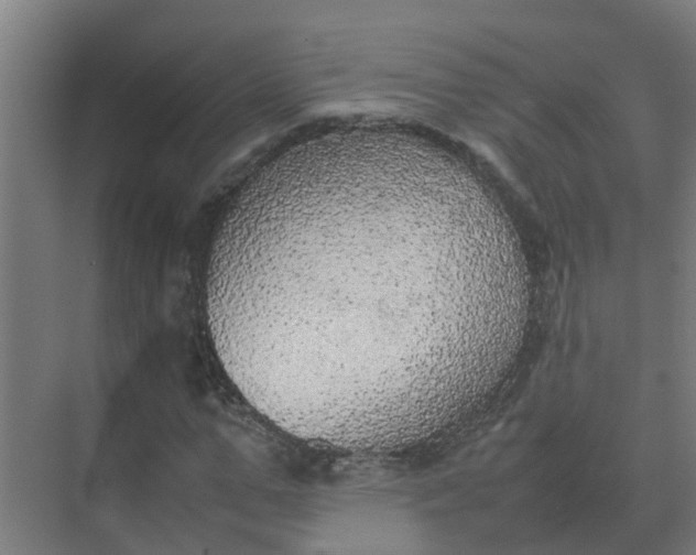 X0000074970967200609152118