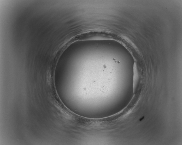 X0000074970969200609152118