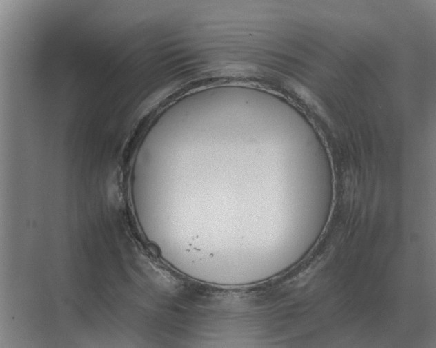 X0000074970970200609152118