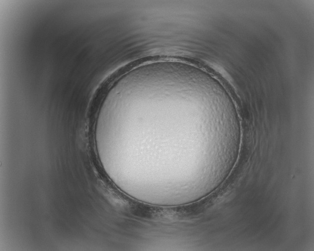 X0000074970971200609152118