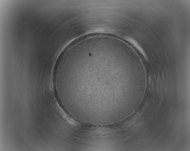 X0000074970972200609152118