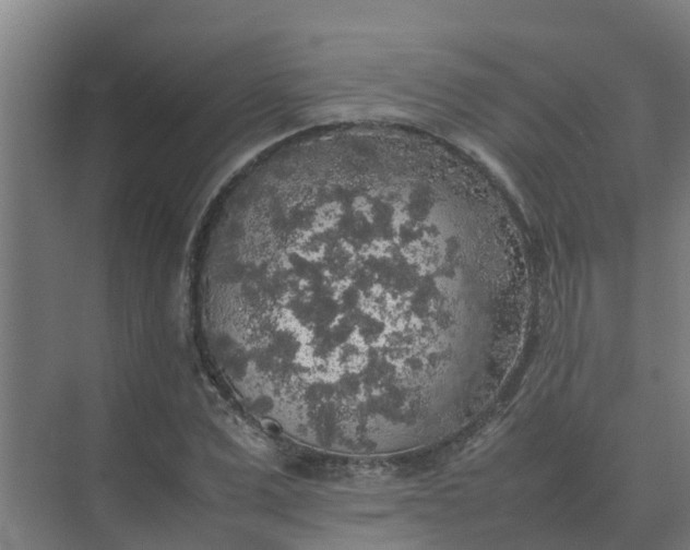 X0000074970975200609152118