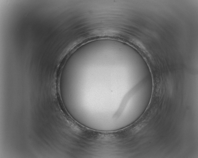 X0000074970978200609152118