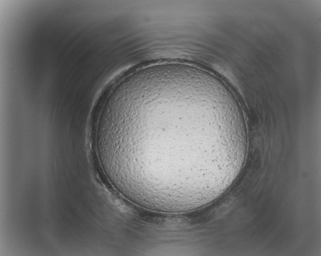 X0000074970979200609152118