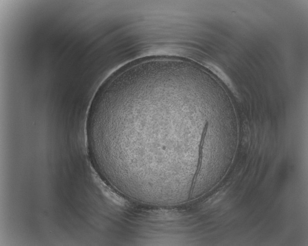 X0000074970980200609152118