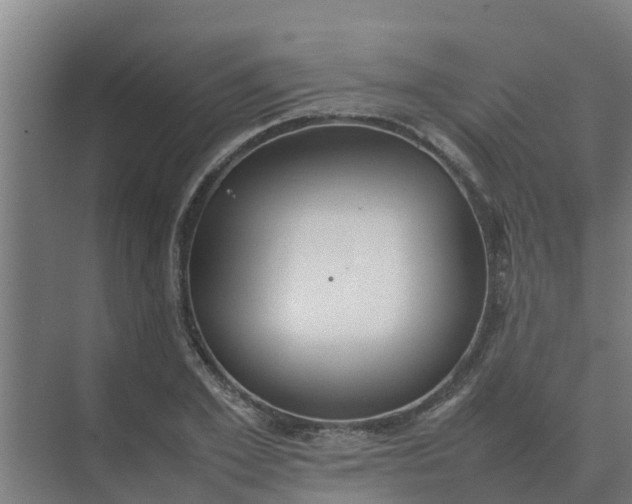 X0000074970981200609152118