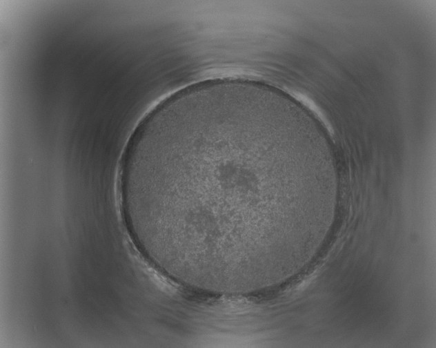 X0000074970983200609152118