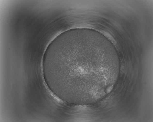 X0000074970990200609152118