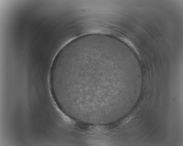 X0000074970991200609152118