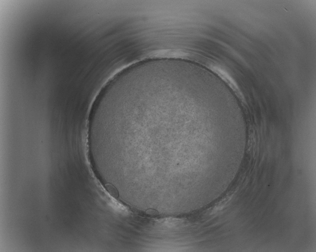 X0000074970992200609152118