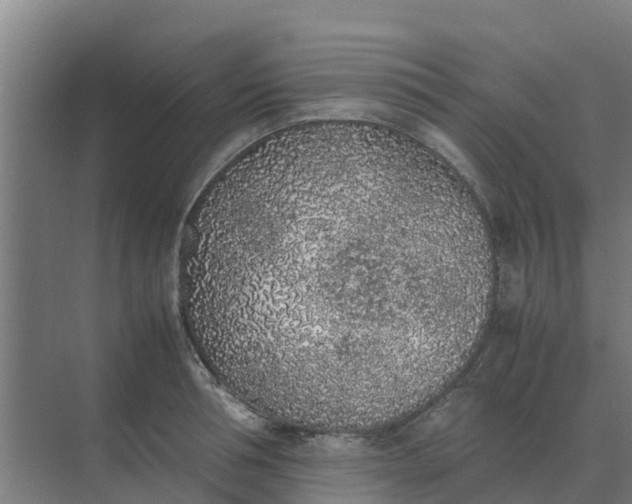 X0000074970994200609152118