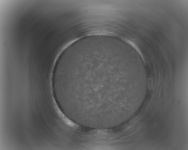 X0000074970995200609152118