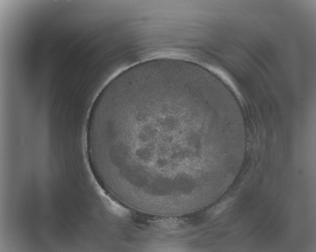 X0000074970999200609152118