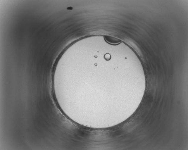 X0000074971000200609152118