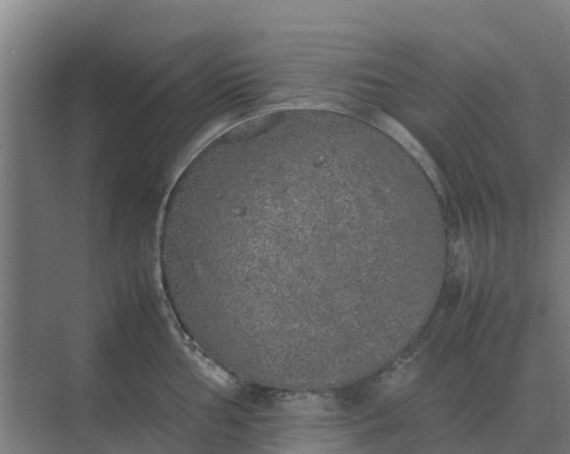 X0000074971002200609152117