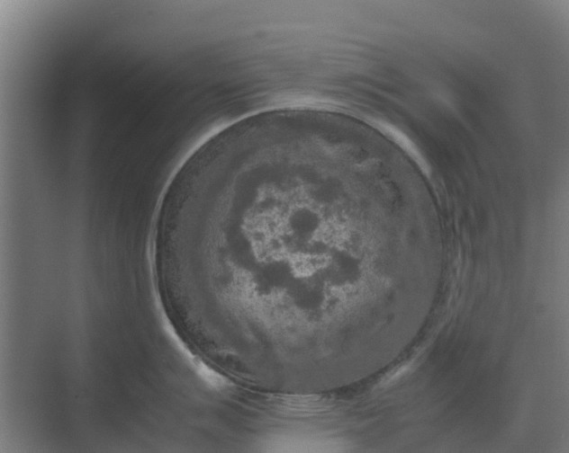 X0000074971007200609152117