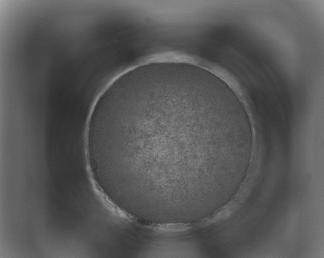 X0000074971008200609152117