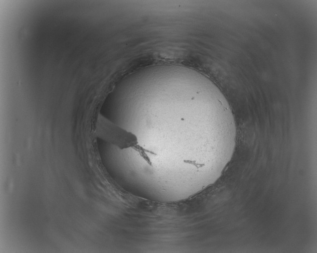 X0000074971009200609152117