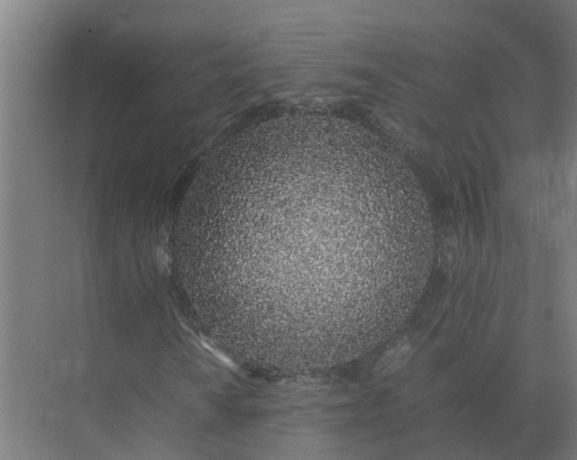 X0000074971010200609152117